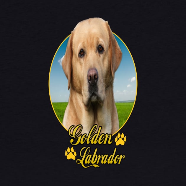 Golden Labrador by petermurphy619